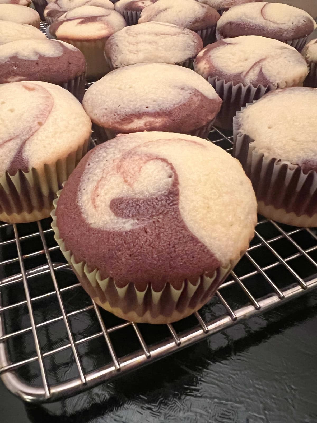 Marble Cupcakes, freshly baked on a cooling rack.