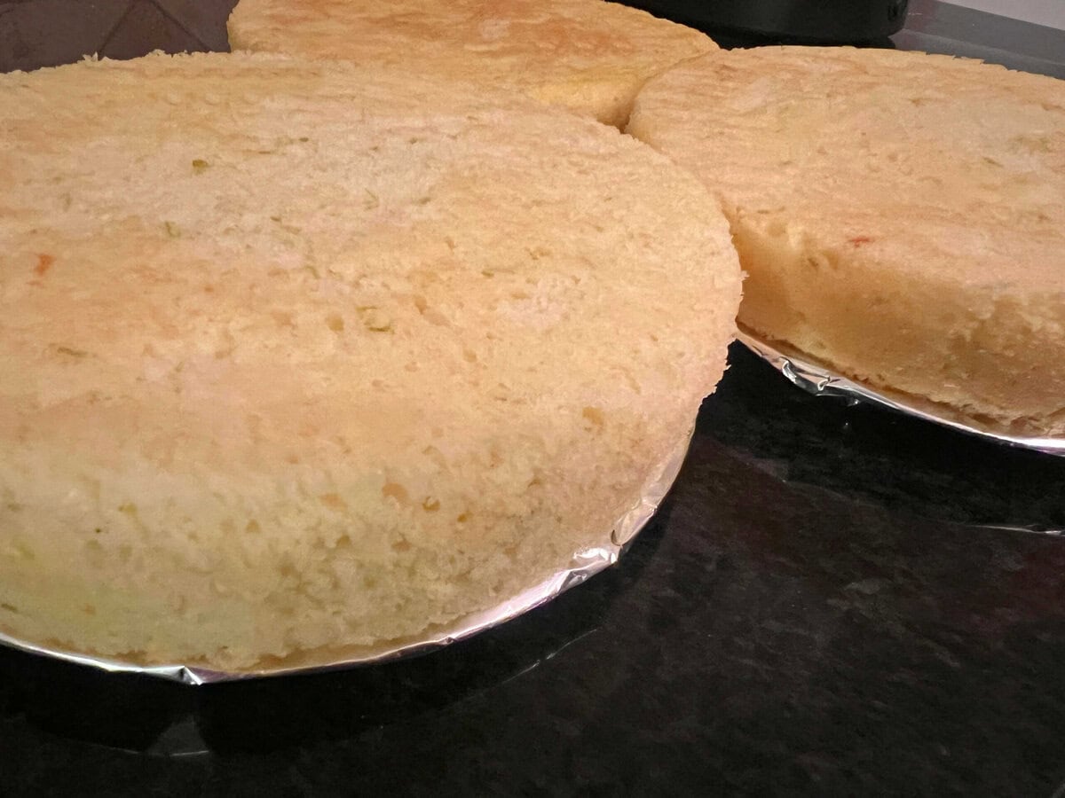 Freshly baked cake lalyers.