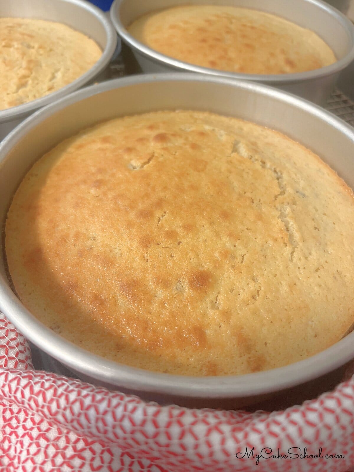 Maple Walnut Cake Layers cooling on a wire rack.