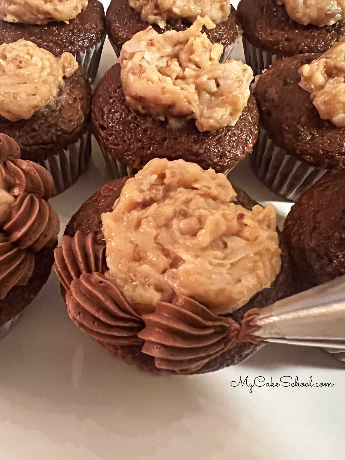 Piping a chocolate buttercream border on the edge of the cupcakes.
