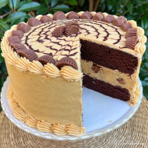 Sliced Chocolate Peanut Butter Cheesecake Cake.