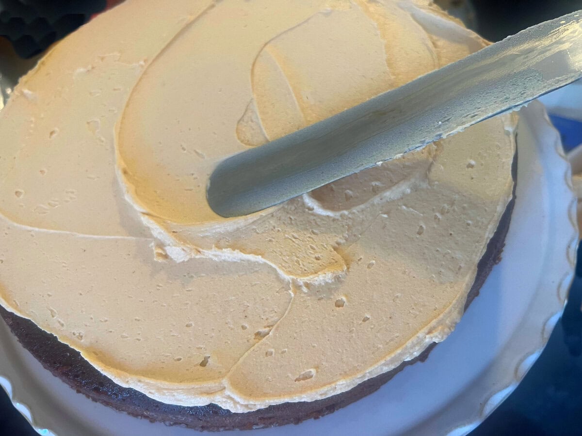 Chocolate cake with layer of frosting.