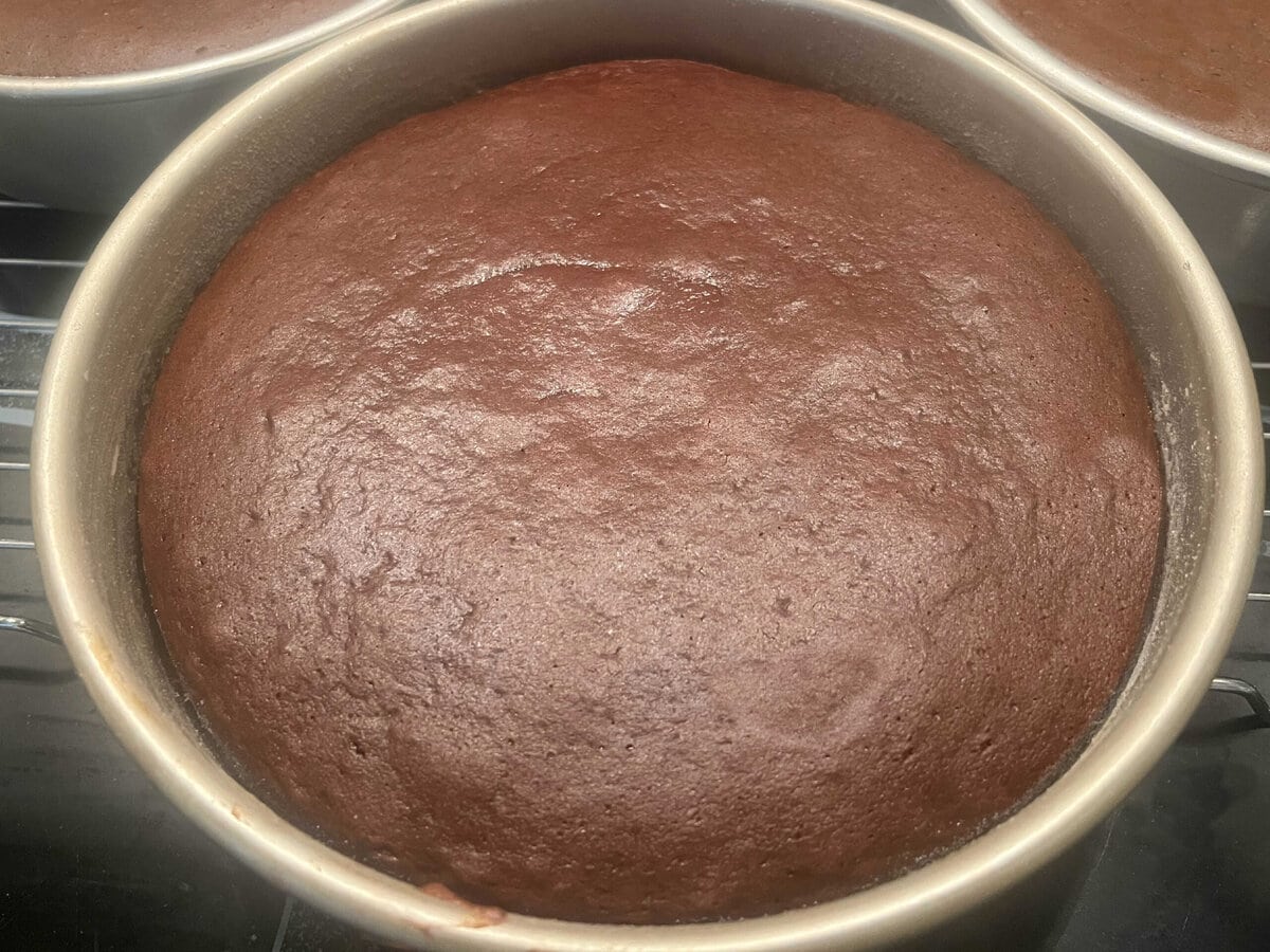 Freshly baked gluten free cake layers.