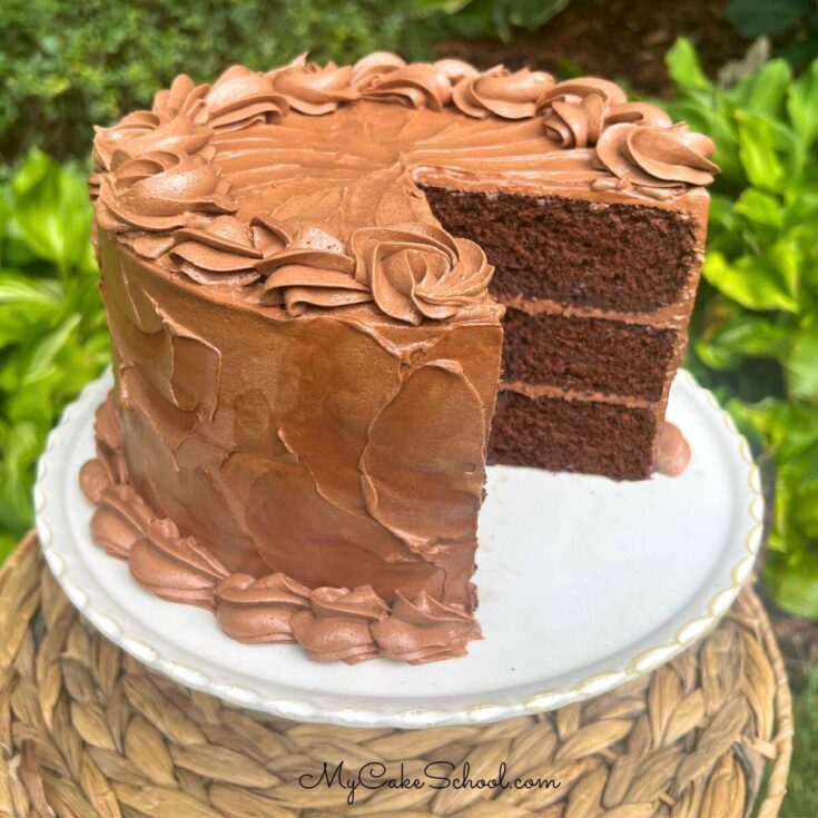 Gluten Free Chocolate Cake on cake pedestal.